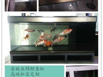 養(yǎng)龍魚下鹽：養(yǎng)龍魚是否需要下鹽？ 龍魚百科 第3張