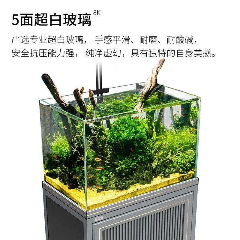 100的魚缸用什么過濾最好：100升的魚缸用什么過濾最好