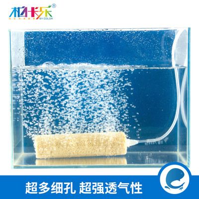 1.2米魚缸下過濾都用什么材料：1.2米魚缸下過濾用什么材料 魚缸百科 第2張