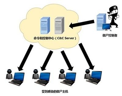 博特英語名字：博特英語名字怎么??？ 博特水族 第3張