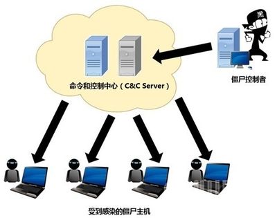 博特英語名字：博特英語名字怎么取？ 博特水族 第2張