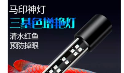 馬印的發(fā)色燈和增艷燈有什么區(qū)別：馬印發(fā)色燈和增艷燈在功能和使用目的上有什么區(qū)別 馬印水族 第3張