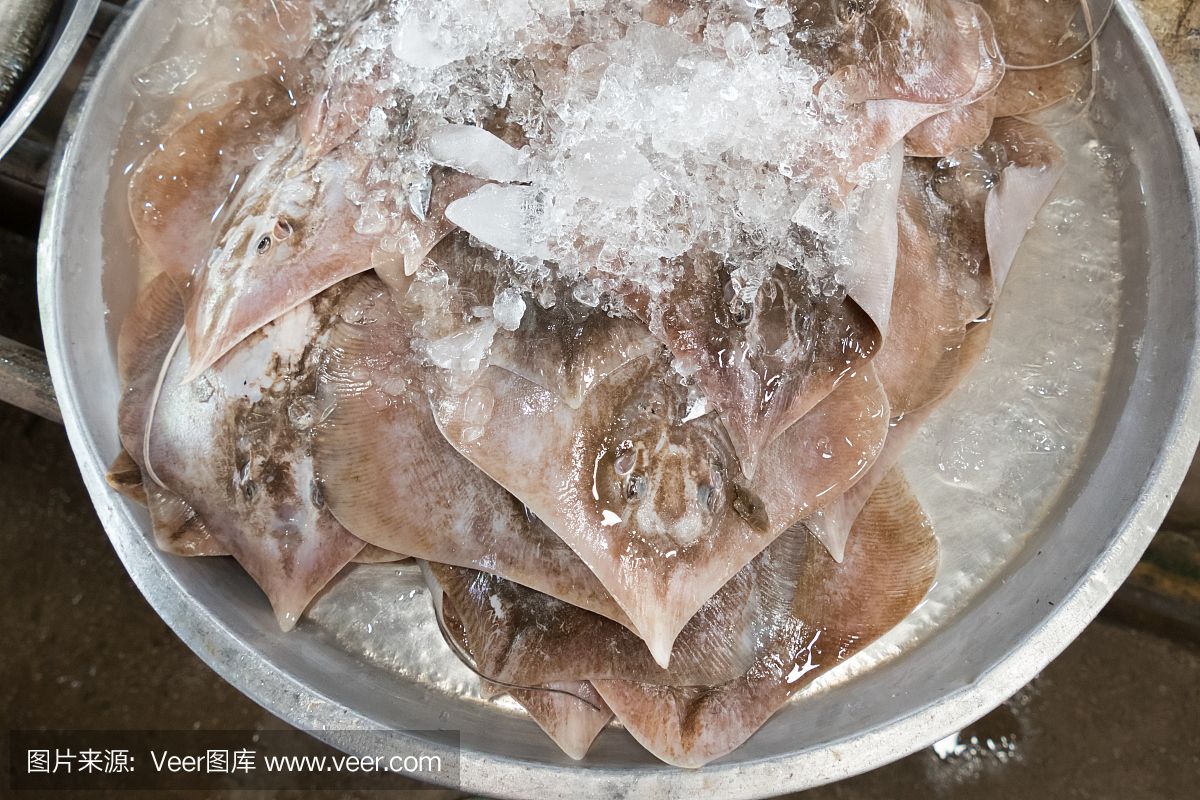 魟魚能加鹽嗎怎么做才好吃：淡水魟魚能加鹽嗎怎么做才好吃[需手動填充]魚能加鹽嗎 魟魚百科 第3張