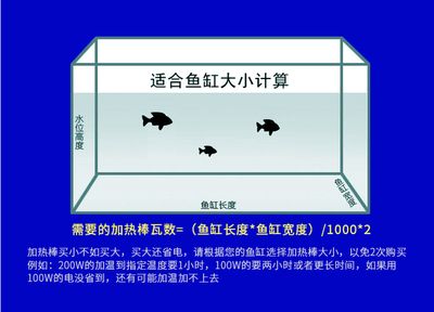 1.2米魚缸多寬合適放魚：1.2米的魚缸多寬合適放魚