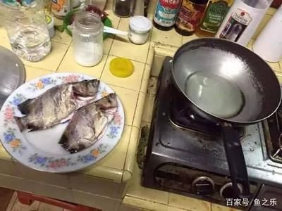 泰國虎魚的做法和吃法：泰國虎魚烹飪方法和吃法和吃法和吃法和吃法和吃法