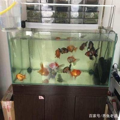 1米2魚缸水族箱：1米2魚缸水族箱怎么選 魚缸定做 第3張