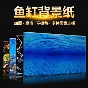 1.2米魚缸背景圖片：1.2米魚缸背景圖片圖片 魚缸百科 第2張