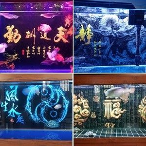 1.2米魚缸背景圖片：1.2米魚缸背景圖片圖片 魚缸百科 第3張