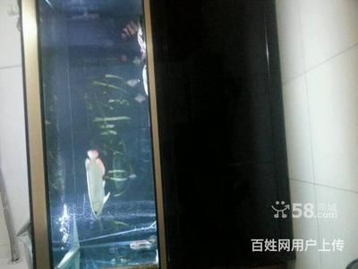 彩蝶魚缸下水口漏水怎么辦：彩蝶魚缸下水口漏水怎么辦彩蝶魚缸下水口漏水怎么辦 彩鰈魚缸（彩蝶魚缸） 第3張