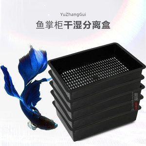 養(yǎng)龍魚用什么過濾器最好：養(yǎng)龍魚時選擇底部過濾器、使用ppr供水管、搭配玻璃環(huán)和過濾棉 龍魚百科 第1張