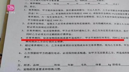 博特寵物診所怎么樣收費：博特寵物診所怎么樣收費博特寵物診所怎么樣收費