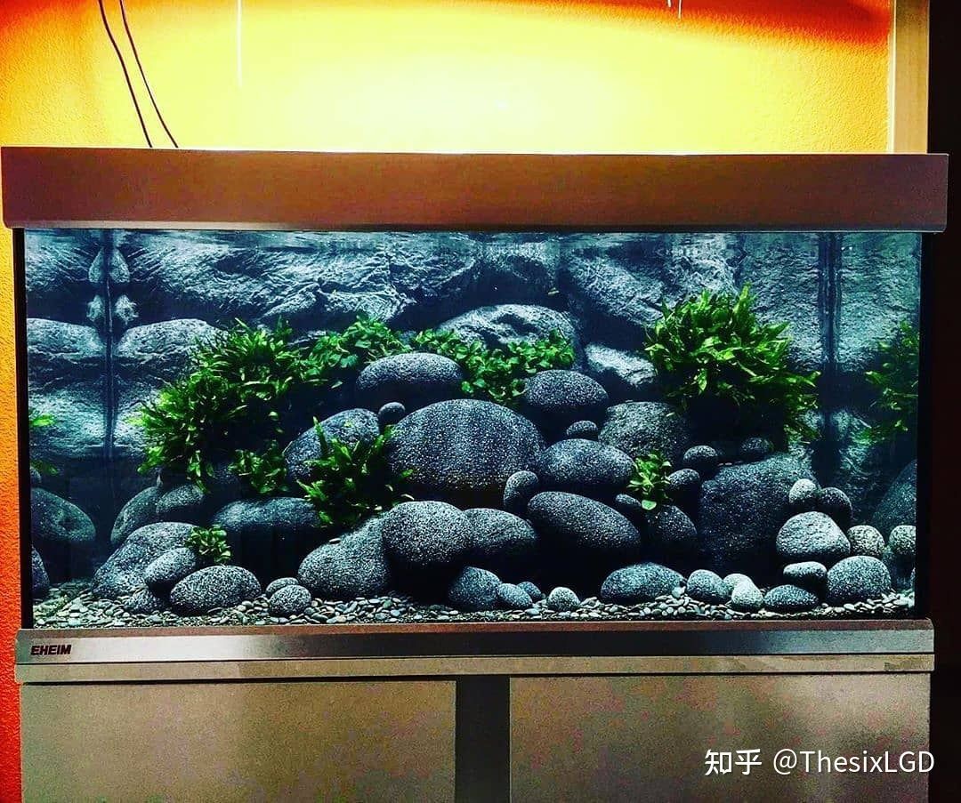 森森魚缸和彩蝶魚缸：森森魚缸和彩蝶魚缸可以從以下幾個方面進行比較比較