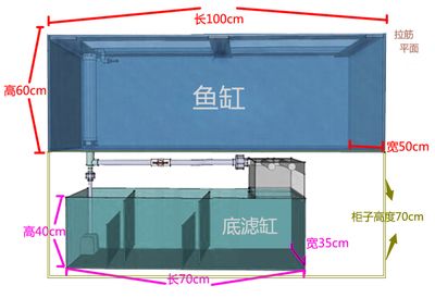 1米2的魚缸多高合適養(yǎng)魚：1米2的魚缸多高合適養(yǎng)魚，合適的高度在60公分之間 魚缸定做 第2張