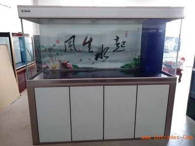 彩蝶魚缸底濾：彩蝶魚缸底濾設(shè)計(jì)