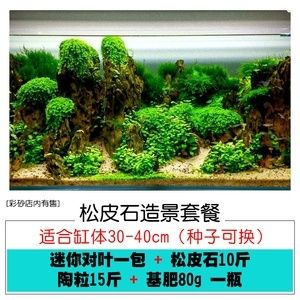 1.2米魚(yú)缸造景圖片大全青龍石：1.2米魚(yú)缸造景中使用青龍石的信息 魚(yú)缸百科 第2張