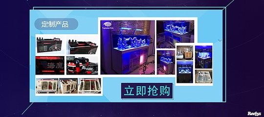 博特水族工廠怎么樣知乎：博特水族工廠怎么樣 博特水族 第2張