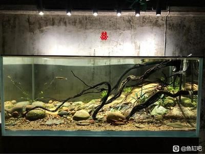 彩蝶魚缸溢流區(qū)安裝圖：彩蝶魚缸溢流區(qū)安裝 彩鰈魚缸（彩蝶魚缸） 第3張