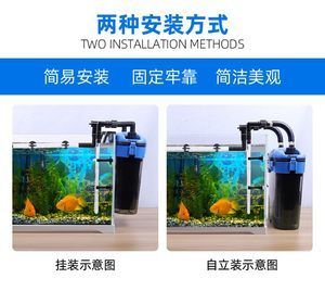 1.5米的魚缸用多大的過濾桶：1.5米的魚缸用多大的過濾桶的大小需要考慮多個因素