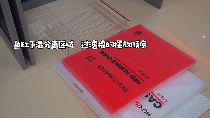 彩蝶魚(yú)缸干濕分離擺放方法：如何在彩蝶魚(yú)缸中實(shí)現(xiàn)干濕分離 彩鰈魚(yú)缸（彩蝶魚(yú)缸） 第3張