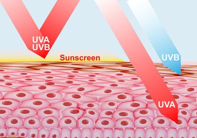 馬印uva：馬印uva咖啡豆 馬印水族 第3張