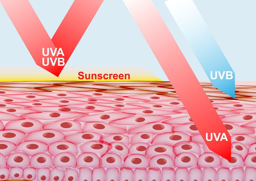 馬印uva：馬印uva咖啡豆 馬印水族 第4張