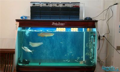 彩蝶se魚缸怎么樣好用嗎：彩蝶se魚缸在品牌背景、設計外觀、性能耐用性等方面表現(xiàn)良好 彩鰈魚缸（彩蝶魚缸） 第3張