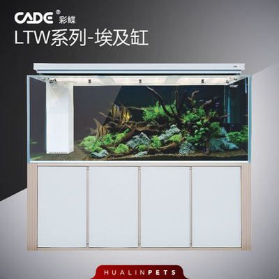 彩蝶魚缸專賣店：彩蝶魚缸專賣店位于興慶區(qū)友愛街塞上花都花鳥魚寵市場(chǎng)