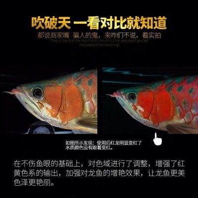 馬印烤色燈是什么意思：馬印烤色燈是一種專業(yè)的水族照明設(shè)備，馬印烤色燈是什么意思 馬印水族 第4張