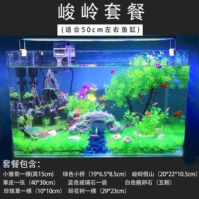 15厘米魚(yú)缸造景：15厘米小魚(yú)缸造景，創(chuàng)造精致的魚(yú)缸景觀，