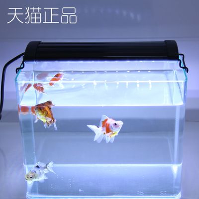 創(chuàng)寧水族代理：創(chuàng)寧水族用品有限公司91371581ma945ccn1m 創(chuàng)寧水族 第3張