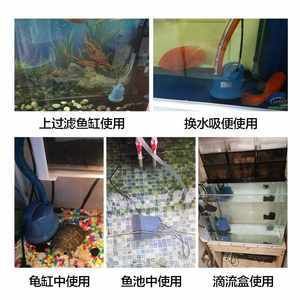 動森魚缸怎么弄：《動物森友會》動森釣魚技巧大揭秘釣魚技巧大揭秘 魚缸百科 第1張