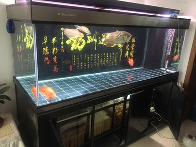 彩蝶魚缸水位線：彩蝶魚缸水位線調(diào)節(jié)方法 彩鰈魚缸（彩蝶魚缸） 第4張