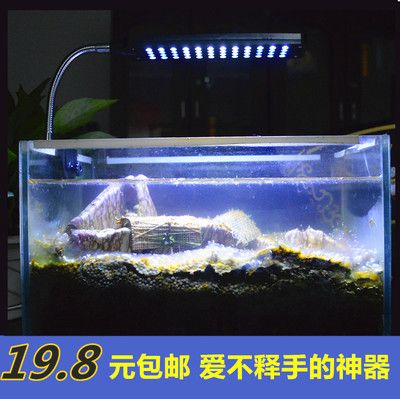 LEO魚缸燈：leo魚缸燈有哪些優(yōu)點和缺點？ 水族燈（魚缸燈） 第4張