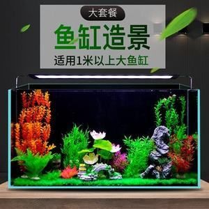 大魚缸布景效果圖 簡單大氣：大魚缸布景的設(shè)計方法和注意事項和注意事項 魚缸百科 第3張