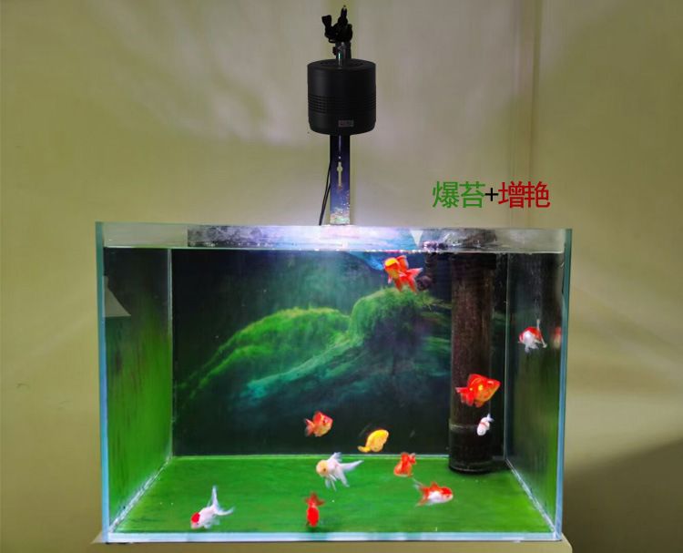 彩蝶tbf魚(yú)缸怎么裝筒燈：彩蝶tbf魚(yú)缸上方安裝筒燈安裝步驟和注意事項(xiàng) 水族燈（魚(yú)缸燈） 第1張