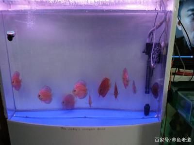 彩鰈水族箱怎么樣：彩鰈水族箱在設(shè)計(jì)和質(zhì)量方面受到了用戶(hù)的認(rèn)可 彩鰈魚(yú)缸（彩蝶魚(yú)缸） 第3張