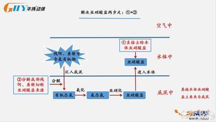 100l水是多大魚缸：100升水是多大的魚缸 魚缸定做 第2張