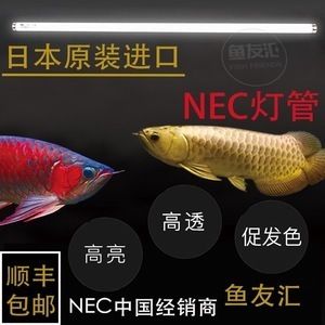 彩蝶魚缸燈架拆卸：如何拆卸彩蝶魚缸燈架