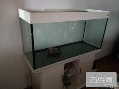 搬家魚缸和魚怎么處理：搬家時魚缸和魚的處理方法 魚缸百科 第1張