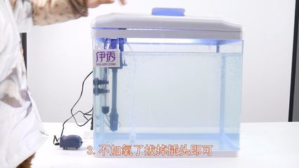 多大的魚缸需要加氧氣：養(yǎng)魚技巧：魚缸加氧泵的選擇指南 魚缸百科 第3張