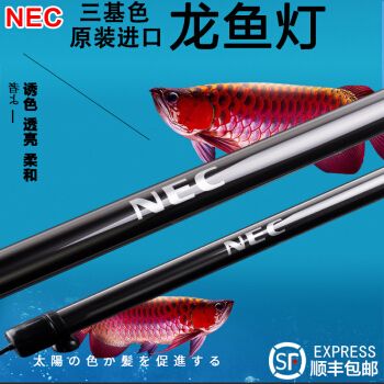 NEC魚缸燈：nec魚缸燈的種類和特點