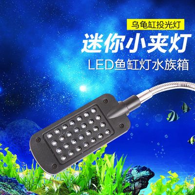 led魚缸燈給烏龜用行嗎：led魚缸燈的使用注意事項 水族燈（魚缸燈） 第1張