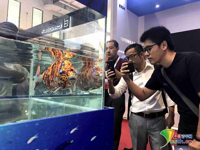 19mm玻璃魚(yú)缸極限：19毫米厚的玻璃可以用于制作一定尺寸的魚(yú)缸嗎？