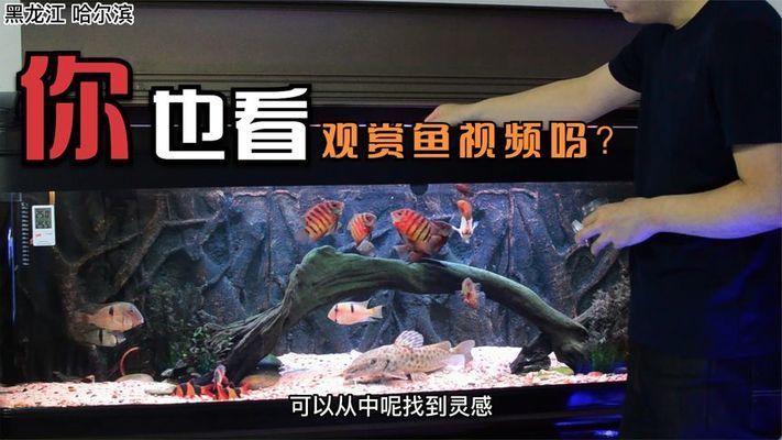 彩蝶魚缸安裝水管配件視頻：彩蝶魚缸安裝水管配件 彩鰈魚缸（彩蝶魚缸）