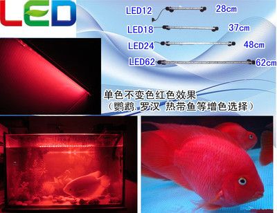 led魚缸燈有紫外線嗎？：led魚缸燈是否有紫外線？ 水族燈（魚缸燈） 第4張