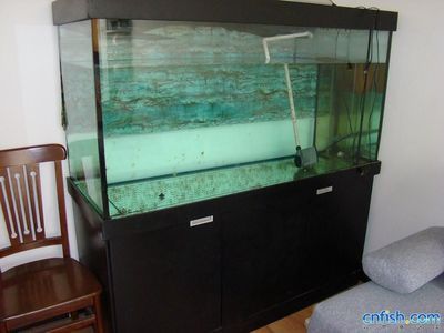 1號魚缸質(zhì)量怎么樣：睿美水族1號魚缸價格區(qū)間大致在100-500元之間 魚缸定做 第3張