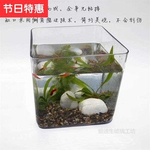 大型玻璃魚缸粘接方法：diy大型玻璃魚缸粘接方法 魚缸百科 第1張