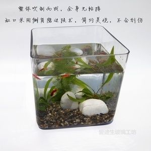 大型玻璃魚缸粘接方法：diy大型玻璃魚缸粘接方法 魚缸百科 第3張