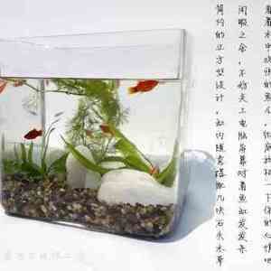 大型玻璃魚缸粘接方法：diy大型玻璃魚缸粘接方法 魚缸百科 第4張