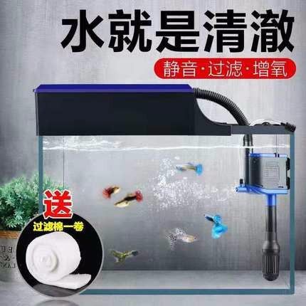 彩鰈魚(yú)缸過(guò)濾器：彩鰈魚(yú)缸過(guò)濾器使用方法和注意事項(xiàng)